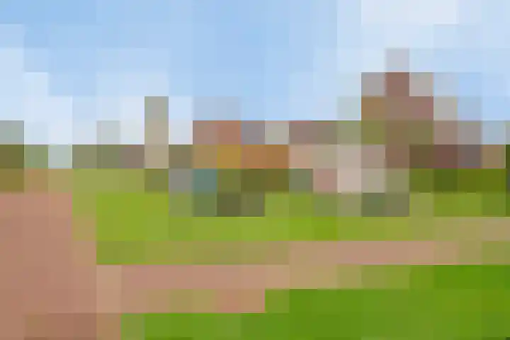 Zomerdijk 17 Meerstad thumbnail 34