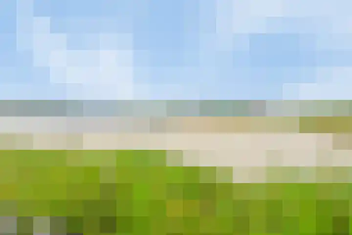 Zomerdijk 17 Meerstad thumbnail 35