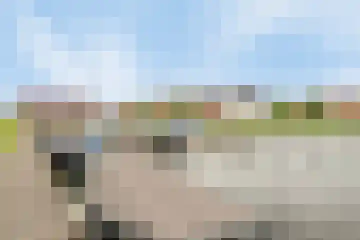 Zomerdijk 17 Meerstad thumbnail 36