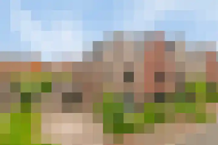 Zomerdijk 17 Meerstad thumbnail 4