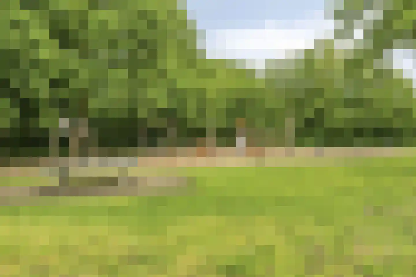 Zomerdijk 27 Nuland thumbnail 33
