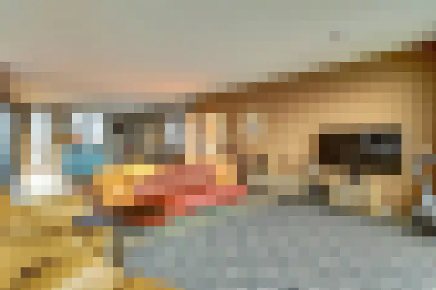 Zomerdijk 36 Vianen thumbnail 6