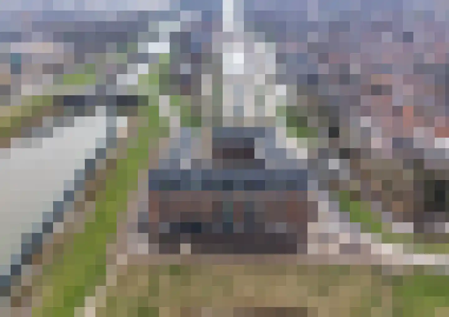 Zomerdijk 36 Vianen thumbnail 60