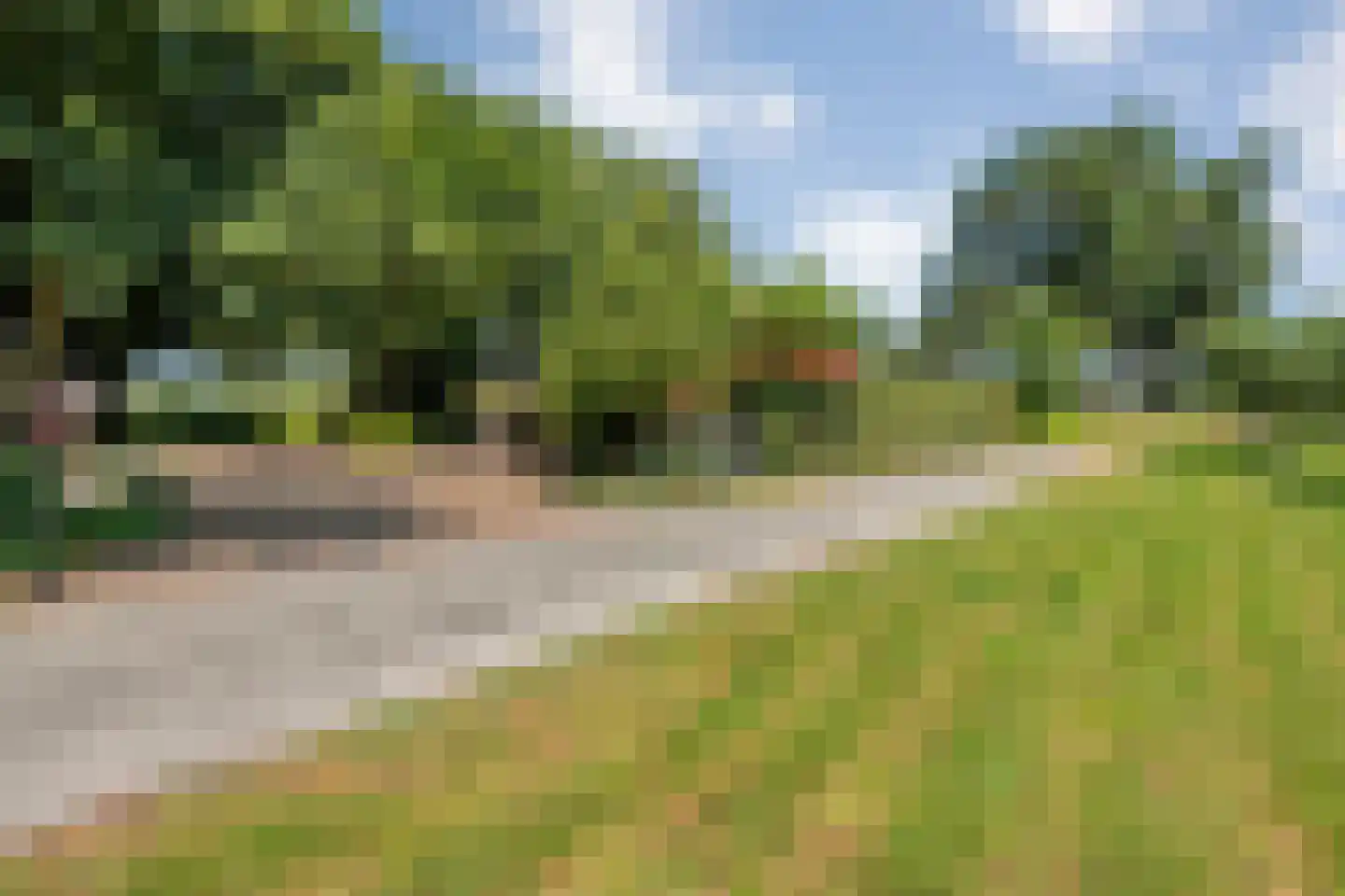 Zomerdijk 6 Wanneperveen thumbnail 10