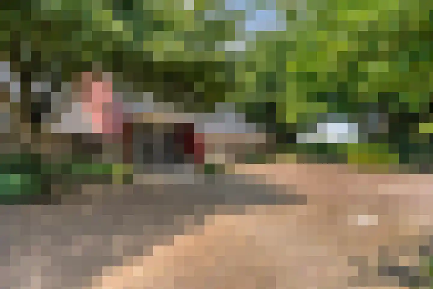 Zomerdijk 6 Wanneperveen thumbnail 11