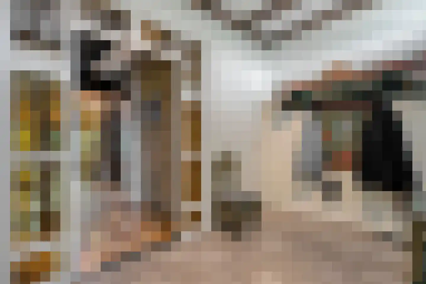 Zomerdijk 6 Wanneperveen thumbnail 13