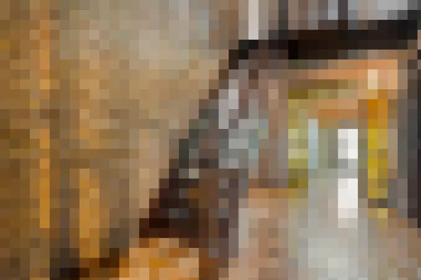 Zomerdijk 6 Wanneperveen thumbnail 15