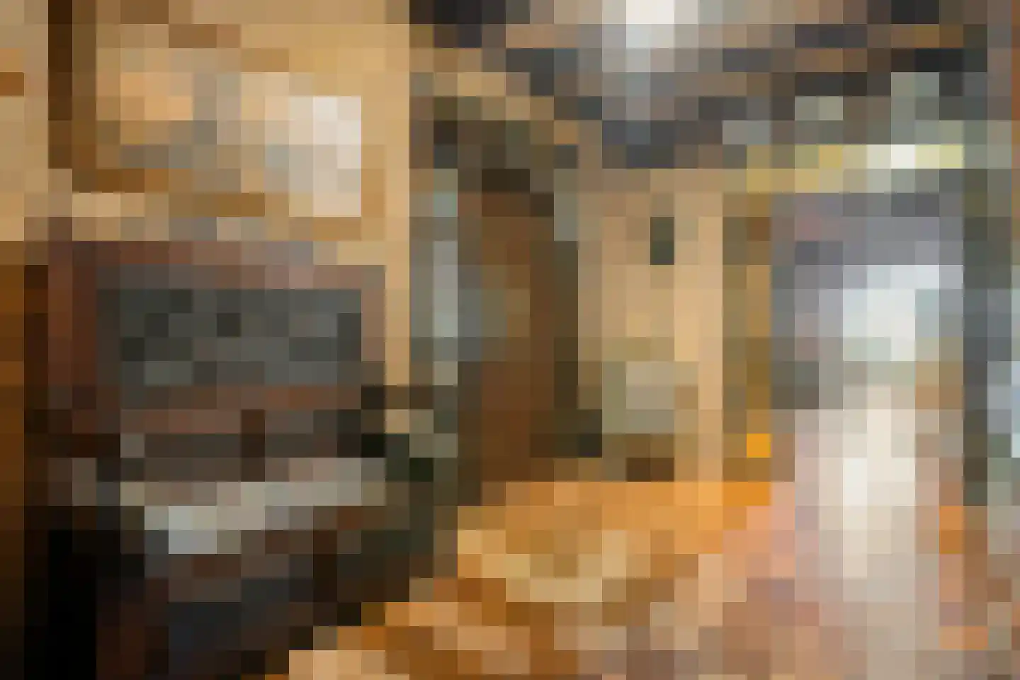 Zomerdijk 6 Wanneperveen thumbnail 16