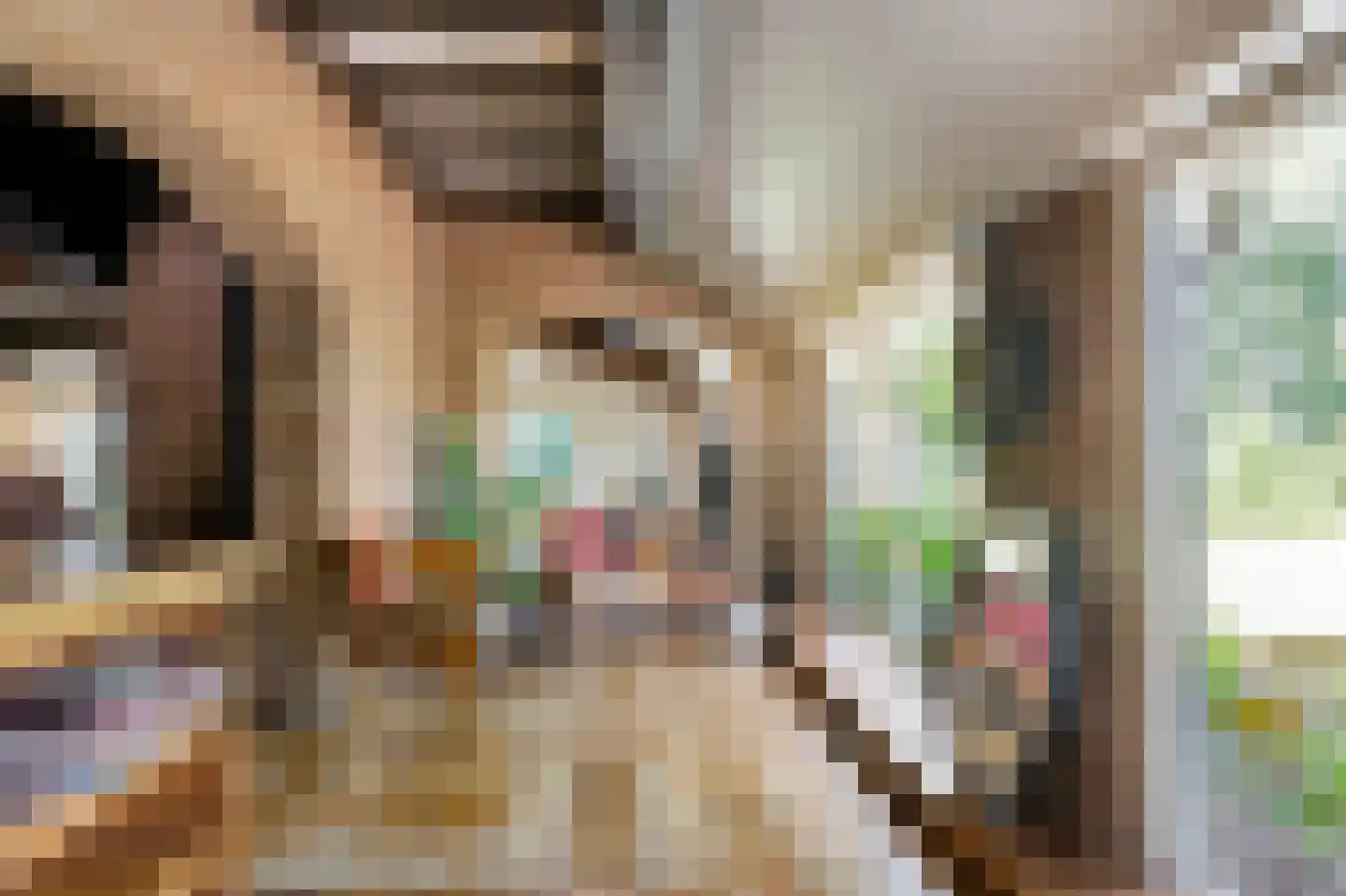Zomerdijk 6 Wanneperveen thumbnail 18