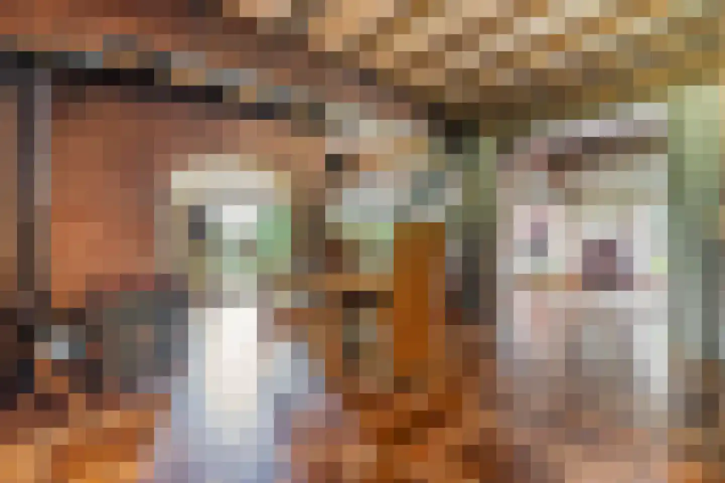Zomerdijk 6 Wanneperveen thumbnail 20