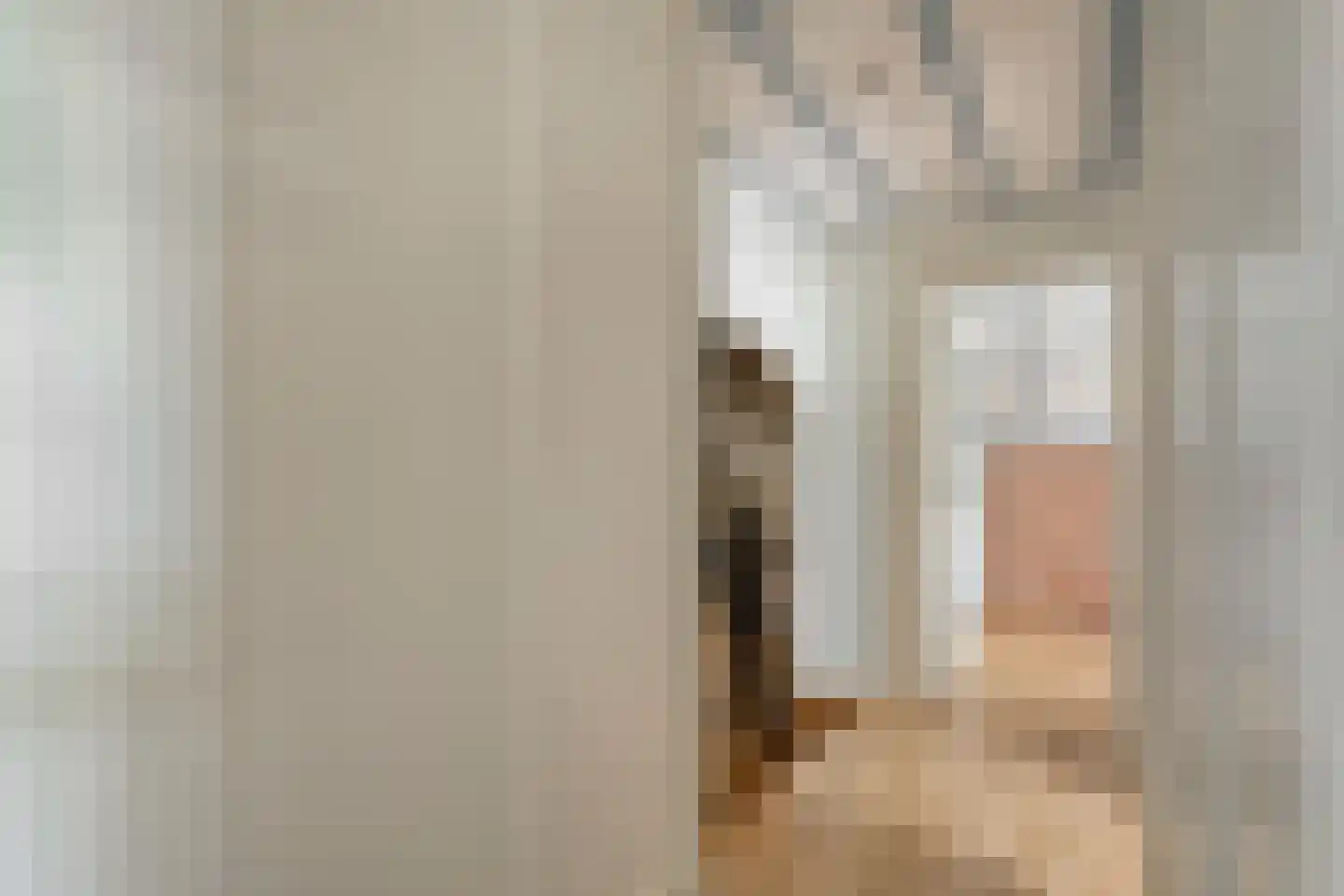 Zomerdijk 6 Wanneperveen thumbnail 22