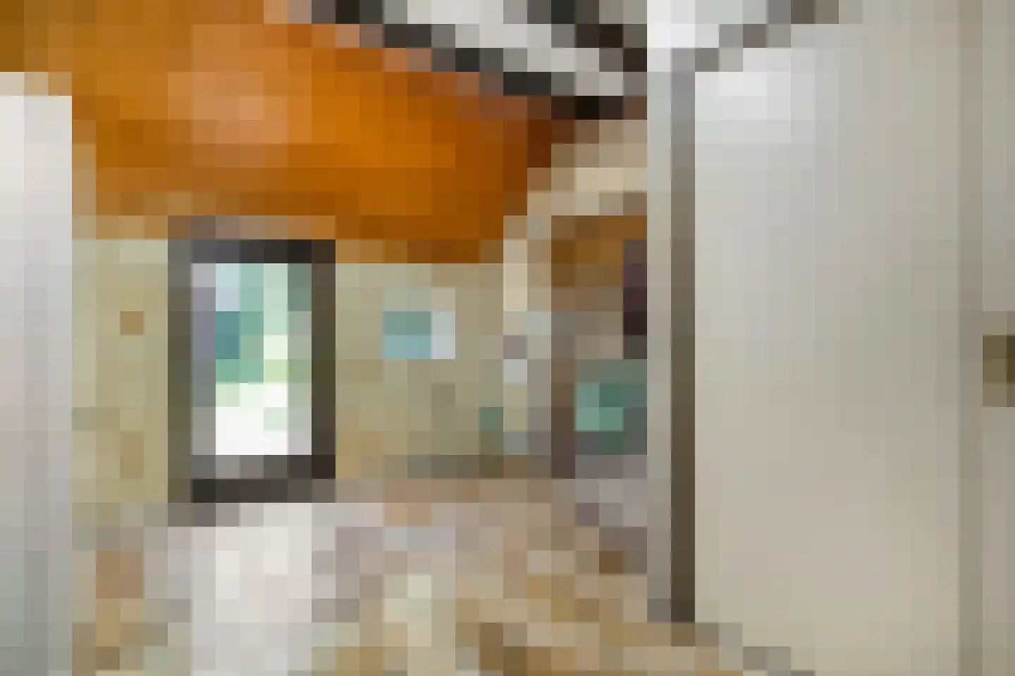 Zomerdijk 6 Wanneperveen thumbnail 29