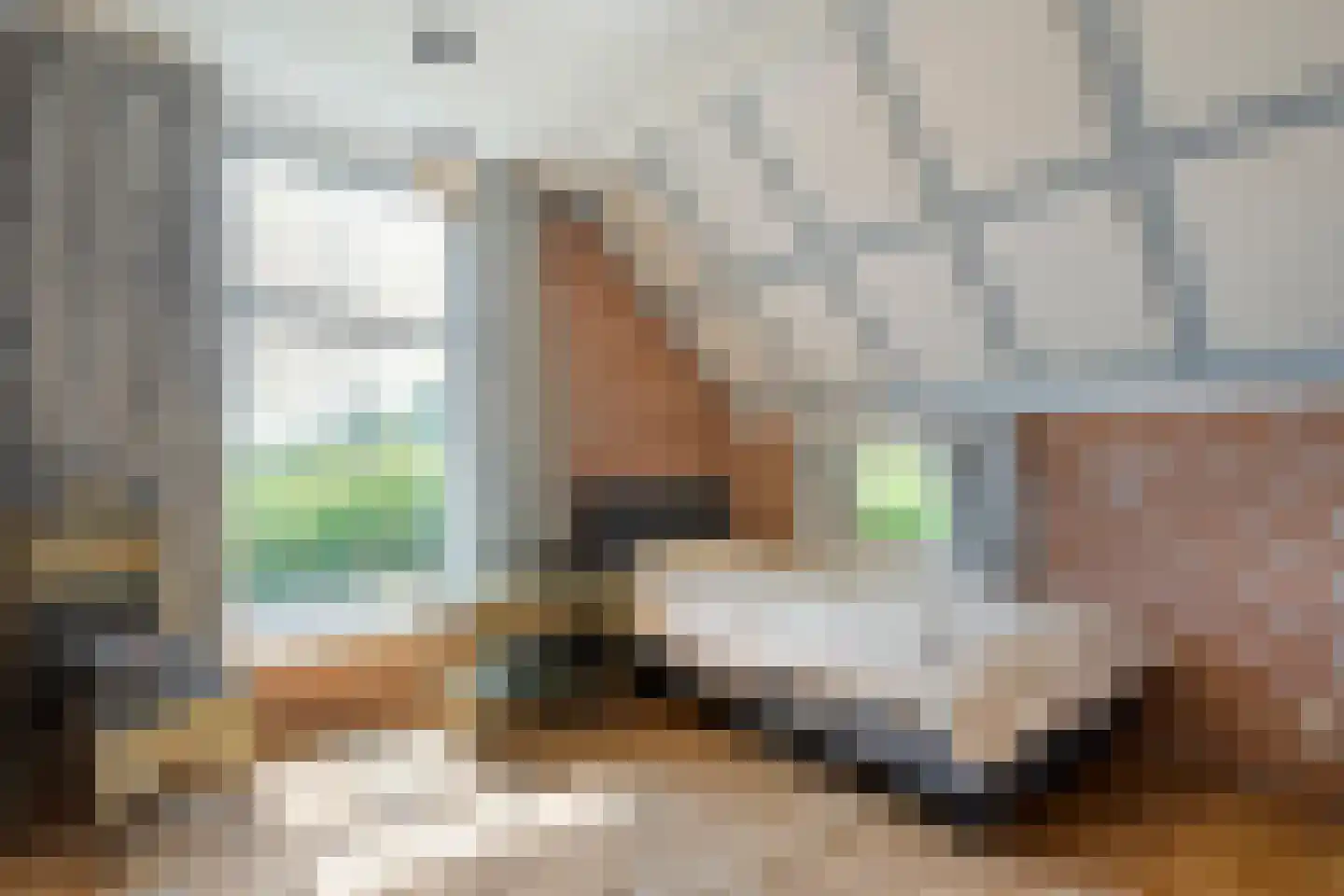 Zomerdijk 6 Wanneperveen thumbnail 32