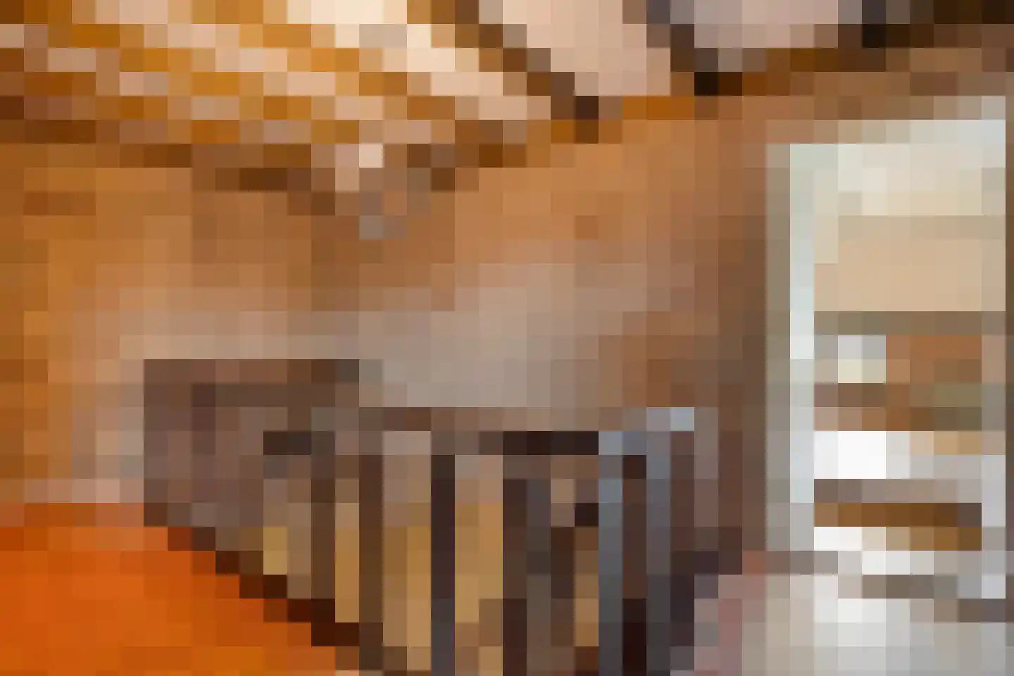 Zomerdijk 6 Wanneperveen thumbnail 36