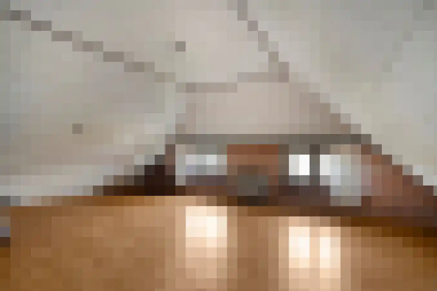 Zomerdijk 6 Wanneperveen thumbnail 38