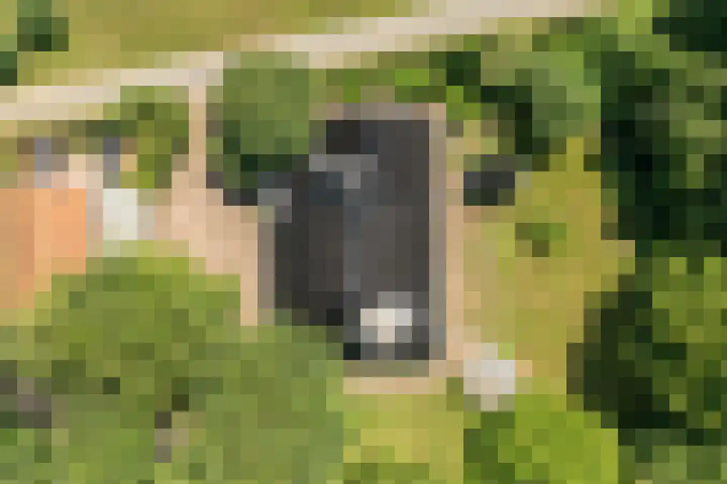 Zomerdijk 6 Wanneperveen thumbnail 4