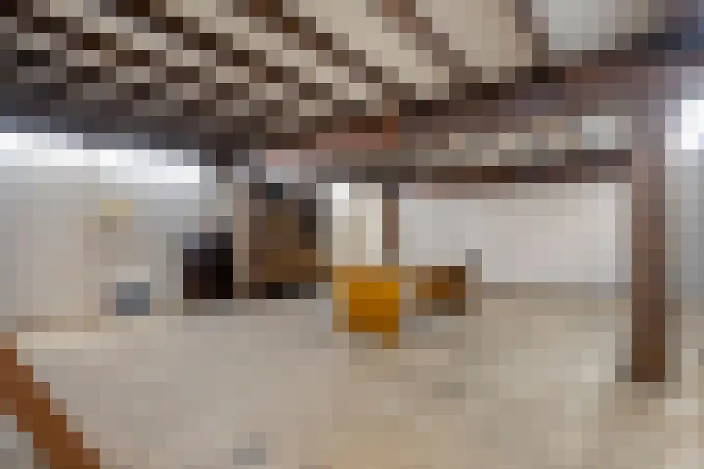 Zomerdijk 6 Wanneperveen thumbnail 40