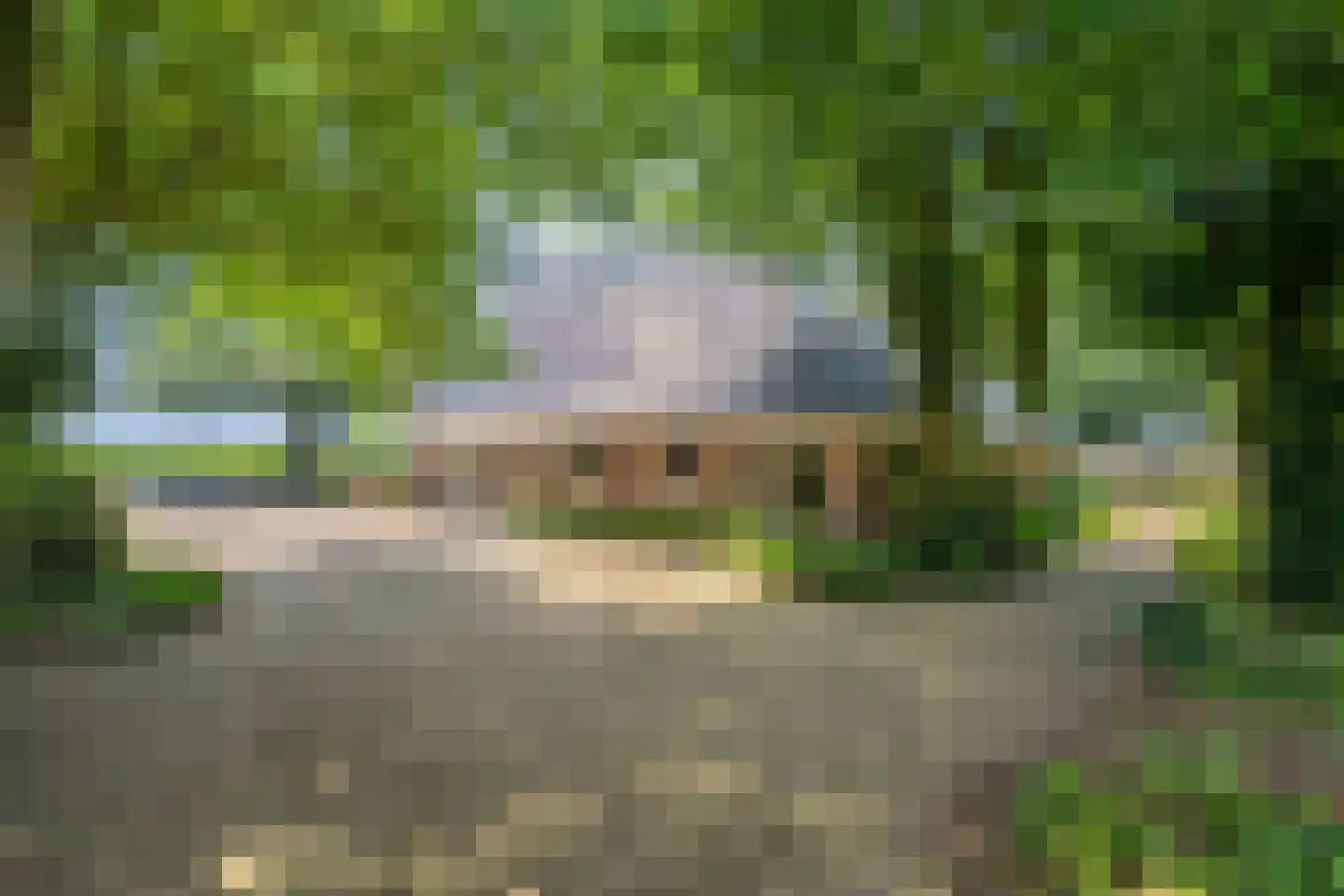 Zomerdijk 6 Wanneperveen thumbnail 42