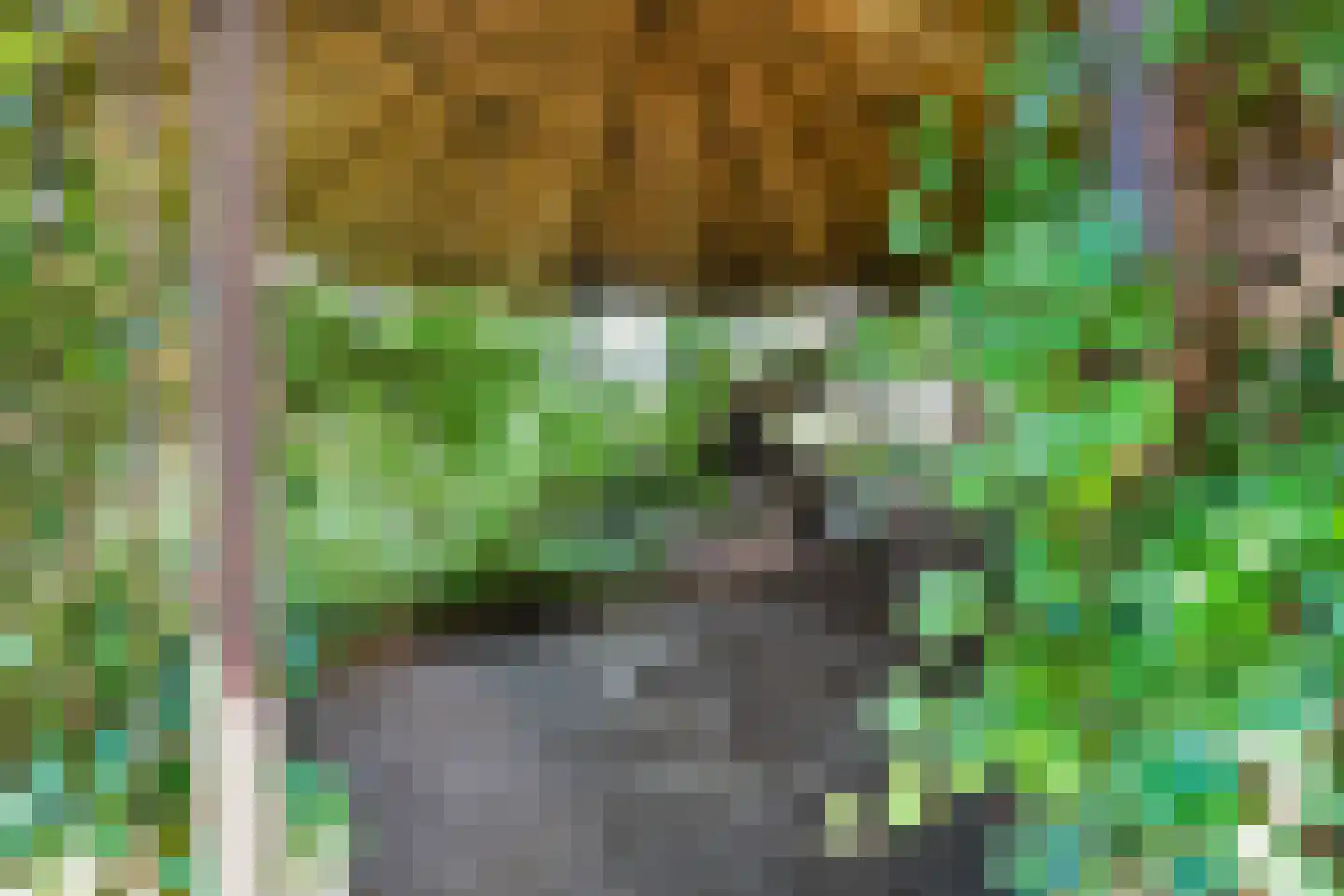 Zomerdijk 6 Wanneperveen thumbnail 43