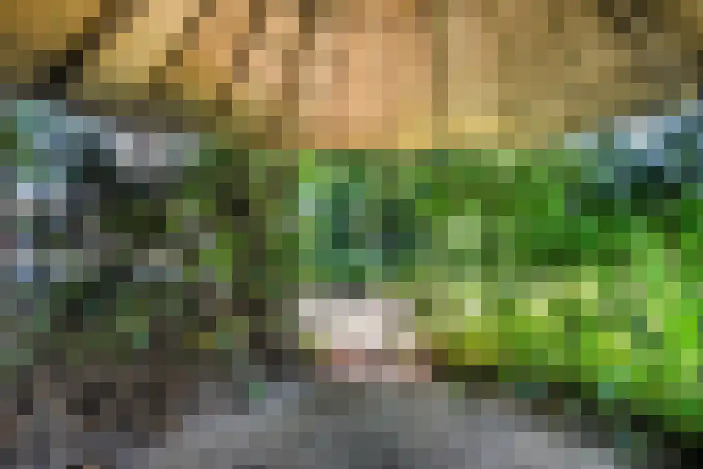 Zomerdijk 6 Wanneperveen thumbnail 44