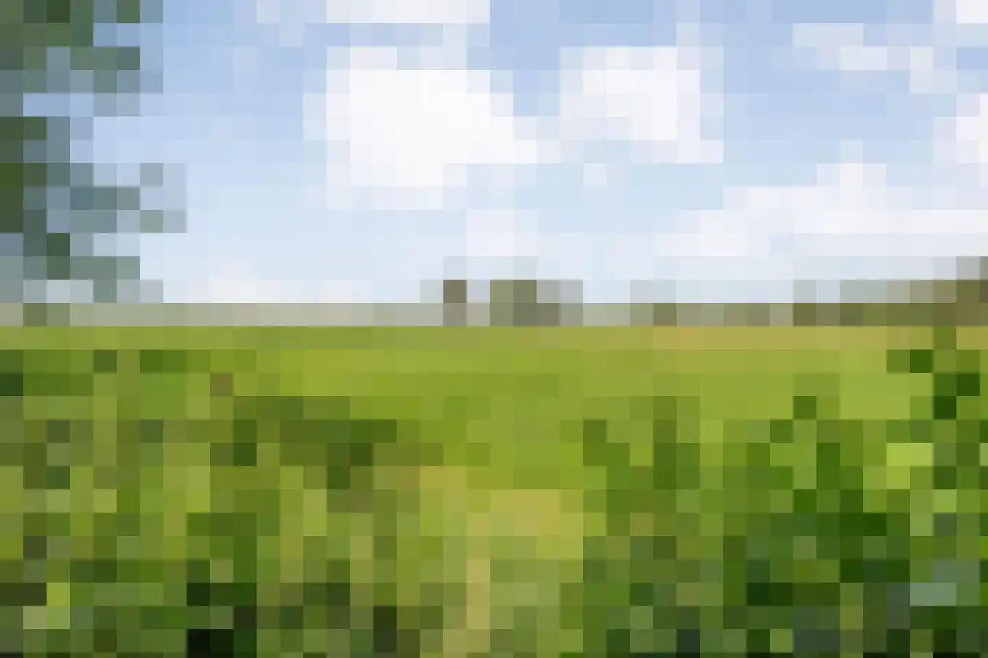 Zomerdijk 6 Wanneperveen thumbnail 46