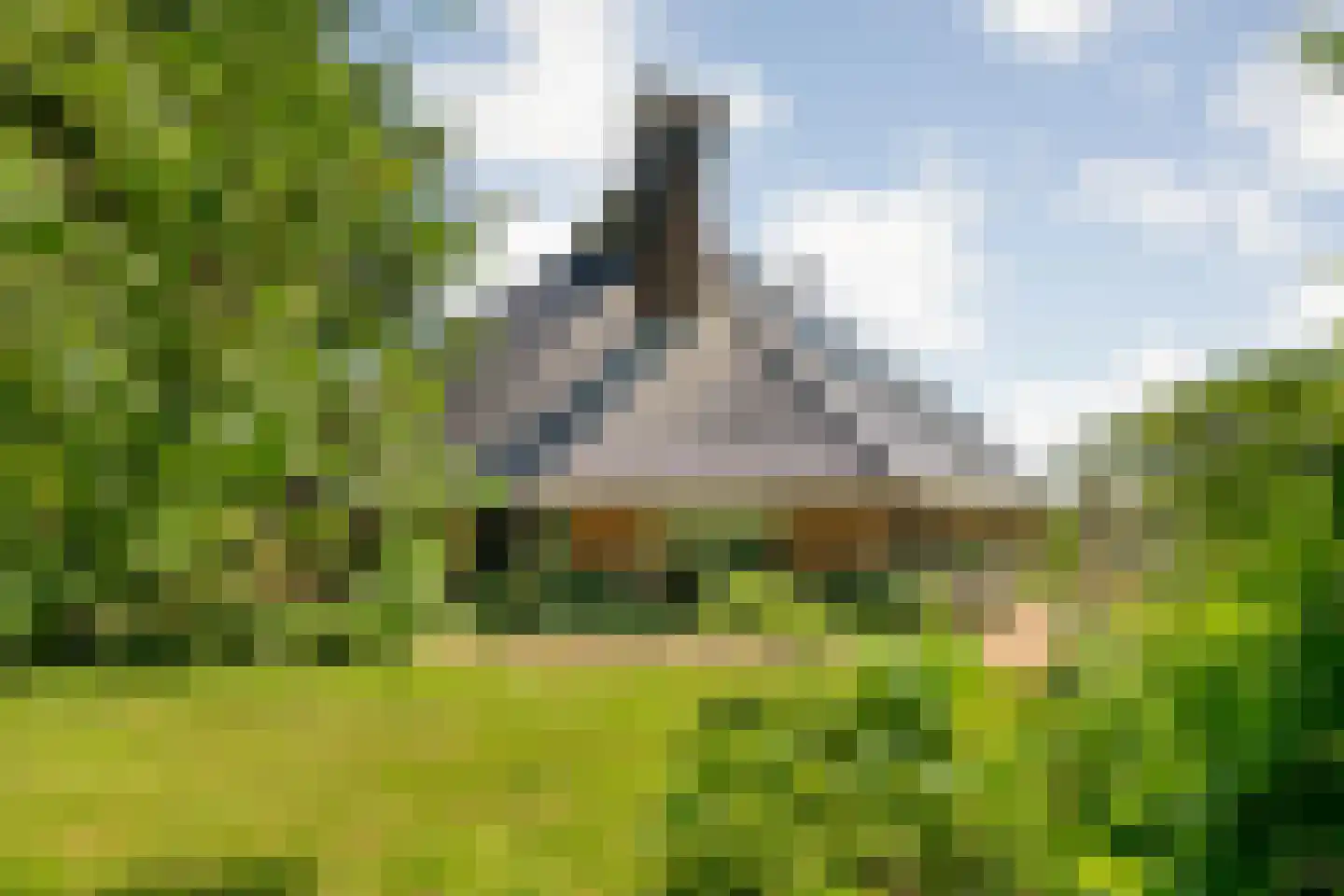 Zomerdijk 6 Wanneperveen thumbnail 49