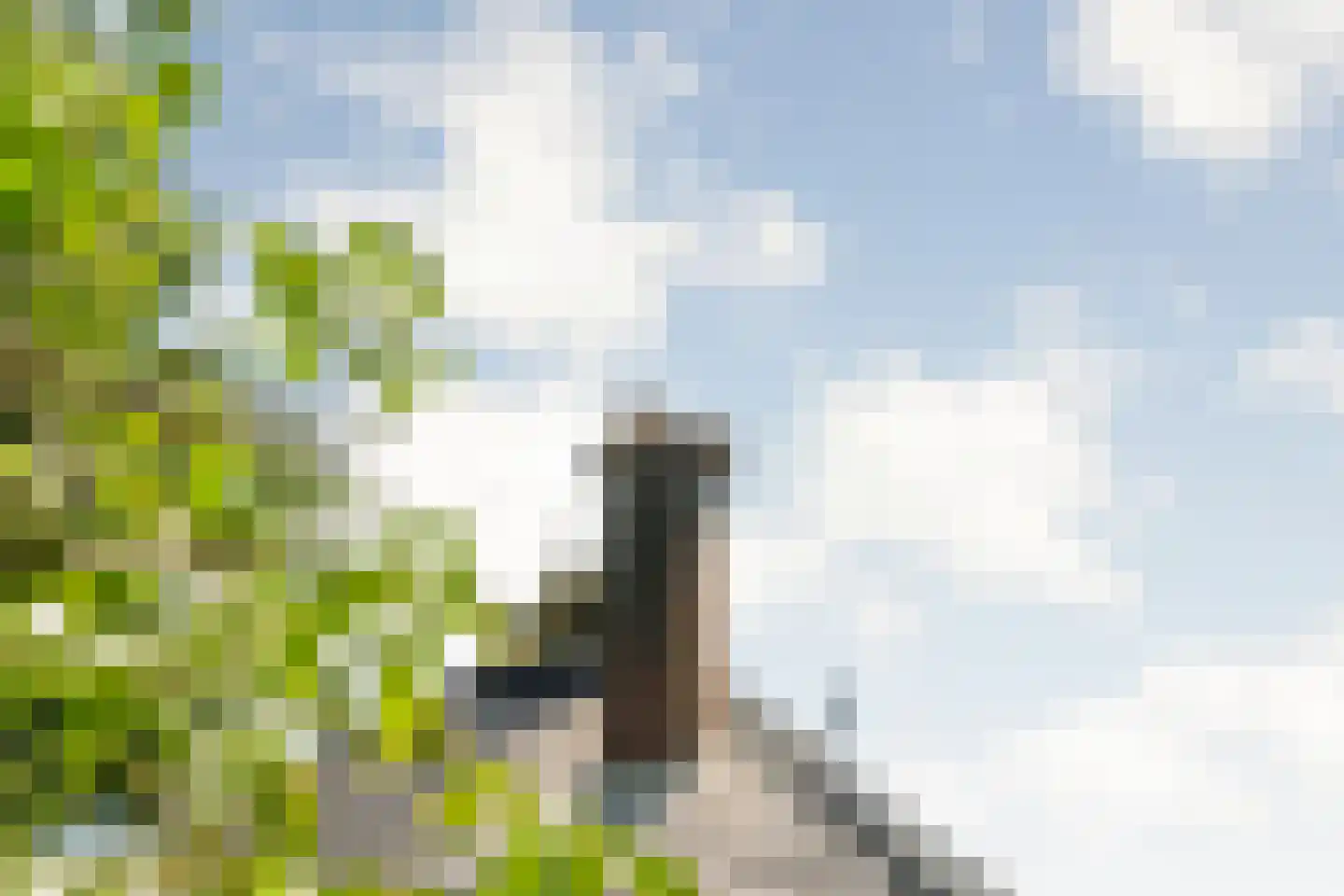 Zomerdijk 6 Wanneperveen thumbnail 50