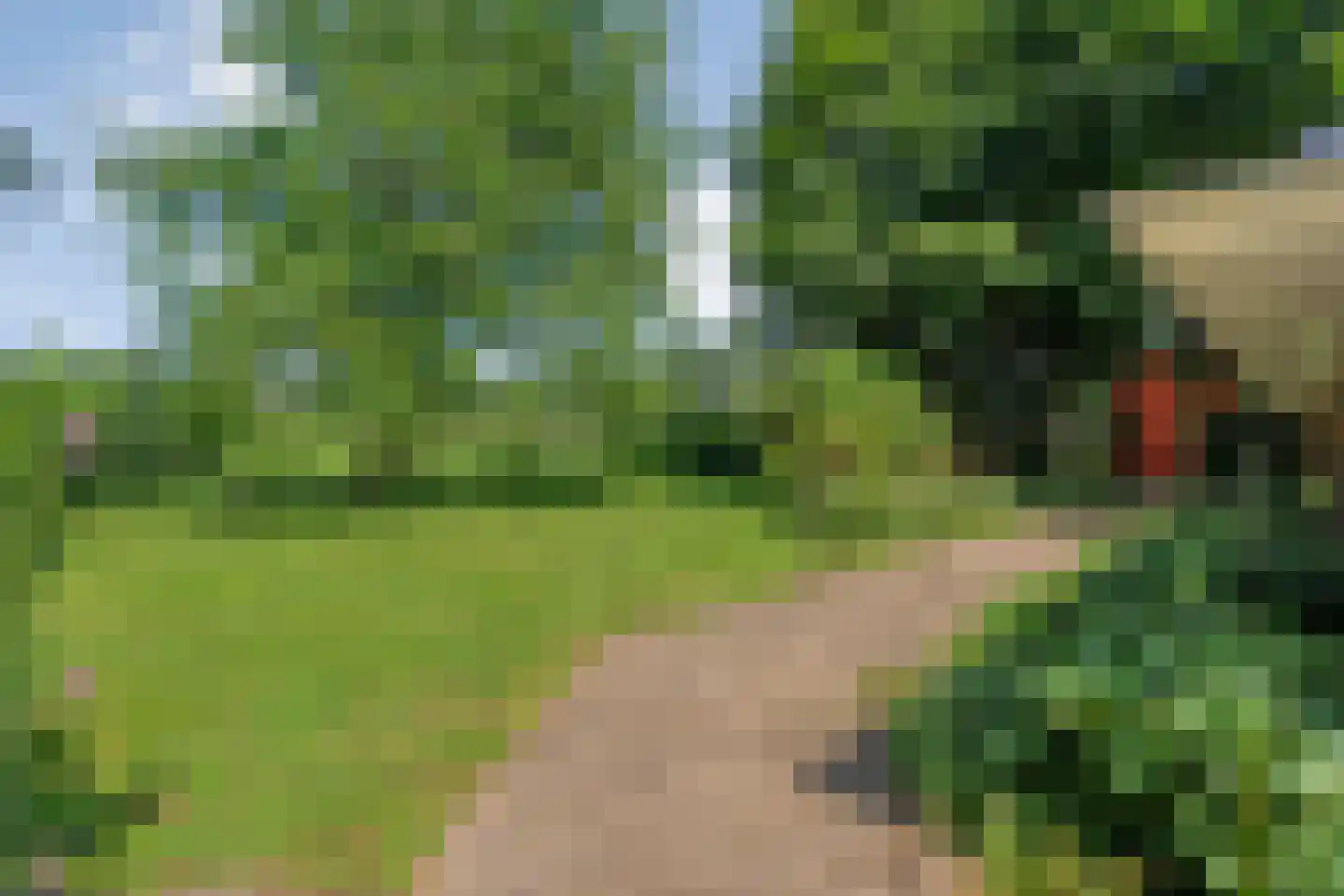 Zomerdijk 6 Wanneperveen thumbnail 52