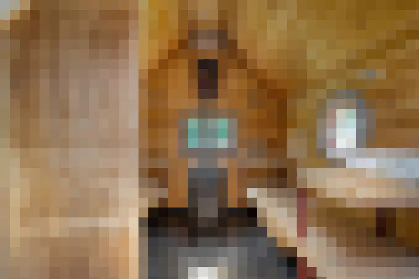 Zomerdijk 6 Wanneperveen thumbnail 54