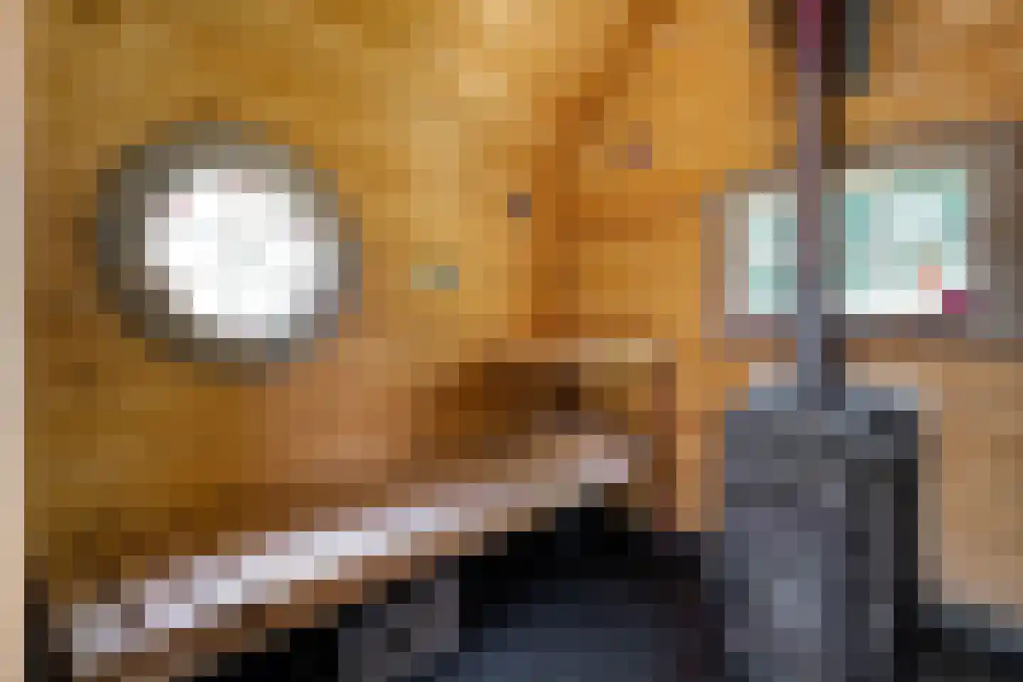 Zomerdijk 6 Wanneperveen thumbnail 55