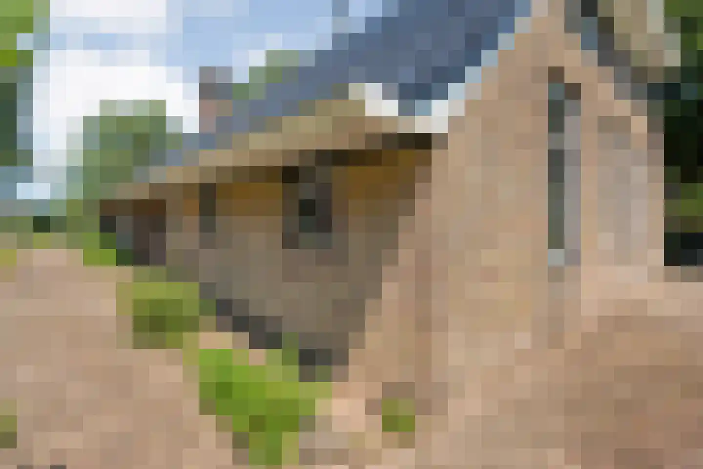 Zomerdijk 6 Wanneperveen thumbnail 56