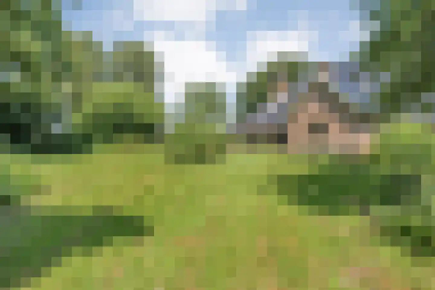Zomerdijk 6 Wanneperveen thumbnail 59