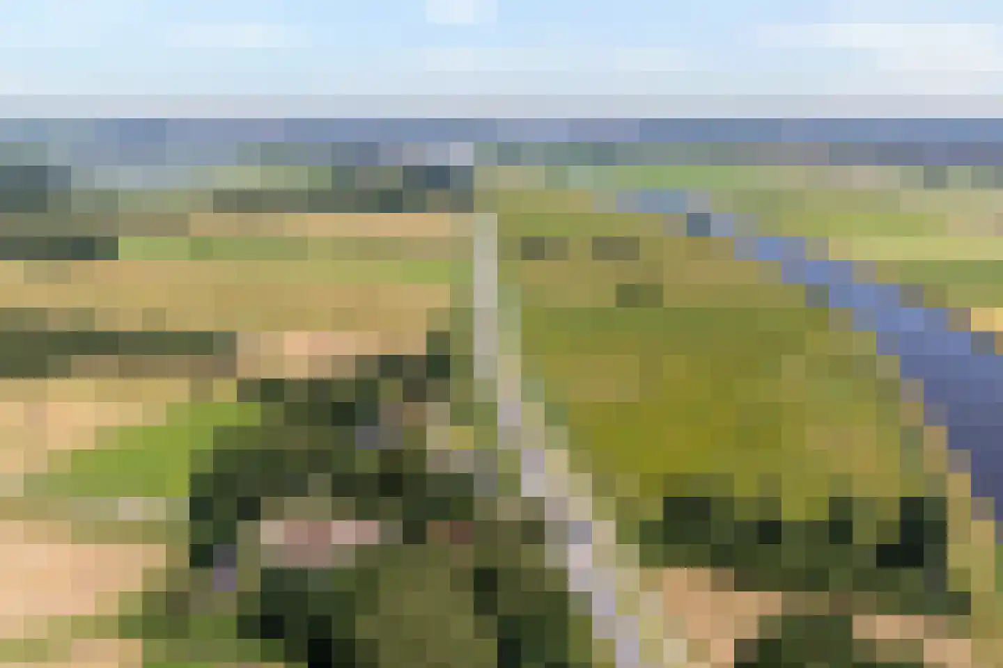 Zomerdijk 6 Wanneperveen thumbnail 6