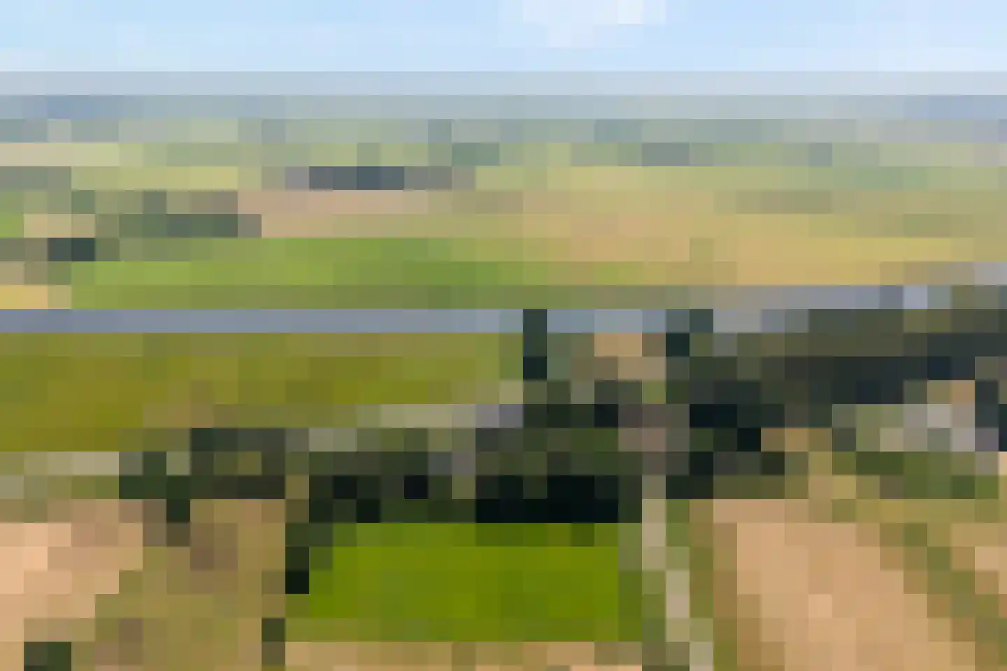 Zomerdijk 6 Wanneperveen thumbnail 7