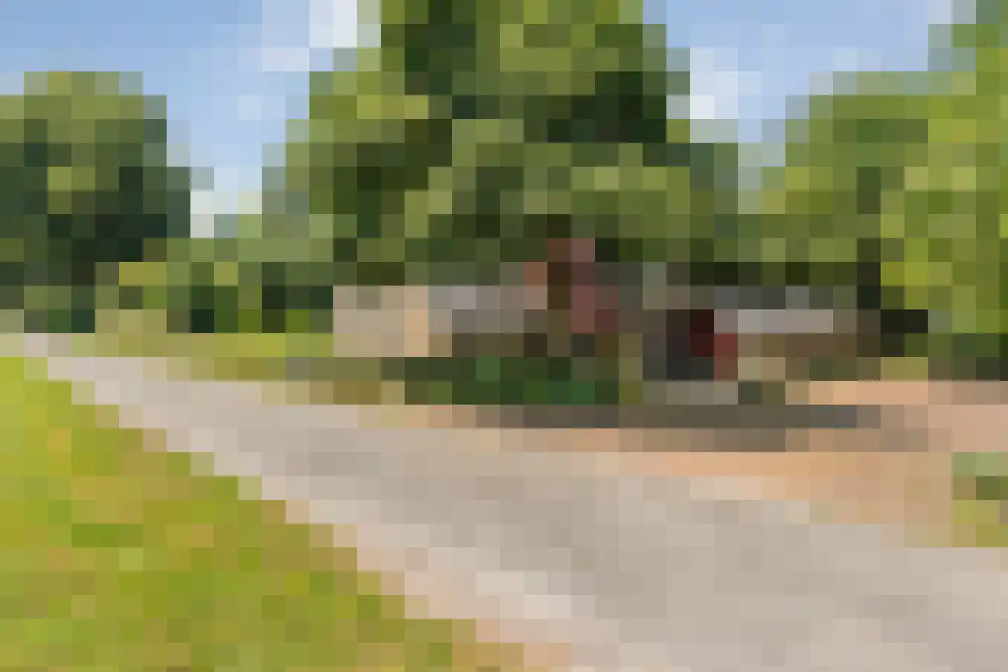 Zomerdijk 6 Wanneperveen thumbnail 8