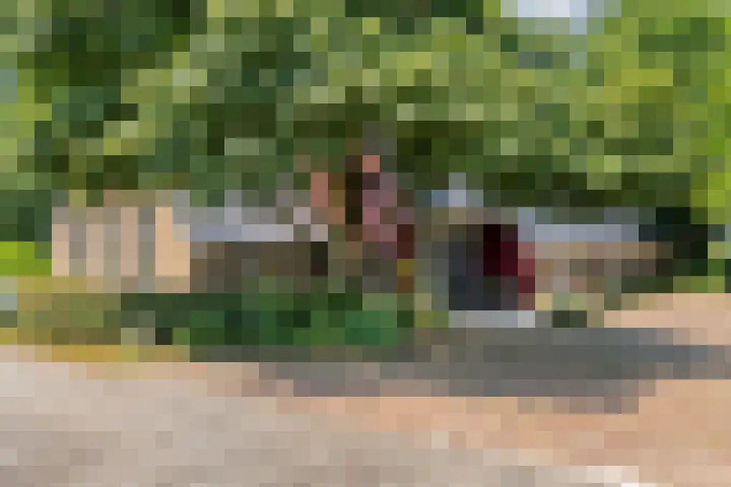 Zomerdijk 6 Wanneperveen thumbnail 9