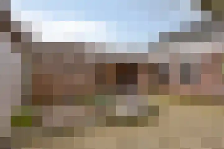 Zomerdijk 71 Nuland thumbnail 12