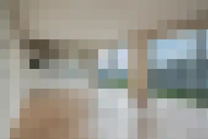 Zomerdijk 8 f Zwartsluis thumbnail 20