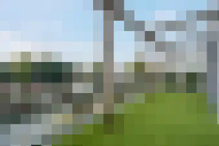 Zomerdijk 8 f Zwartsluis thumbnail 25