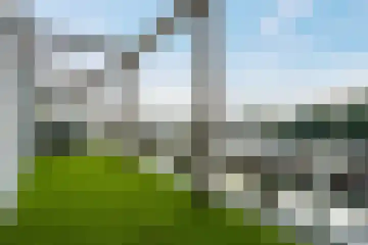 Zomerdijk 8 f Zwartsluis thumbnail 26