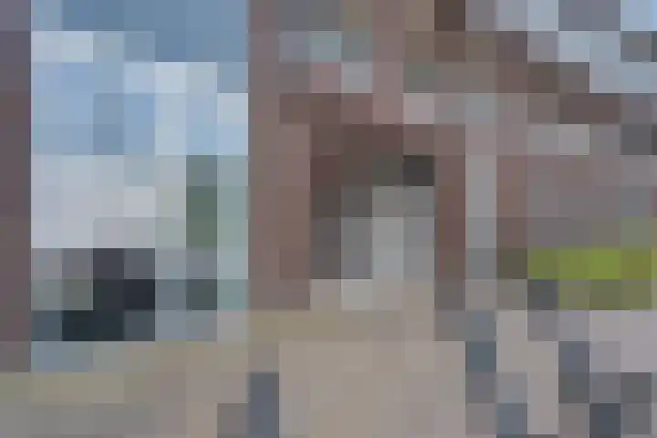 Zomerdijk 8 f Zwartsluis thumbnail 4