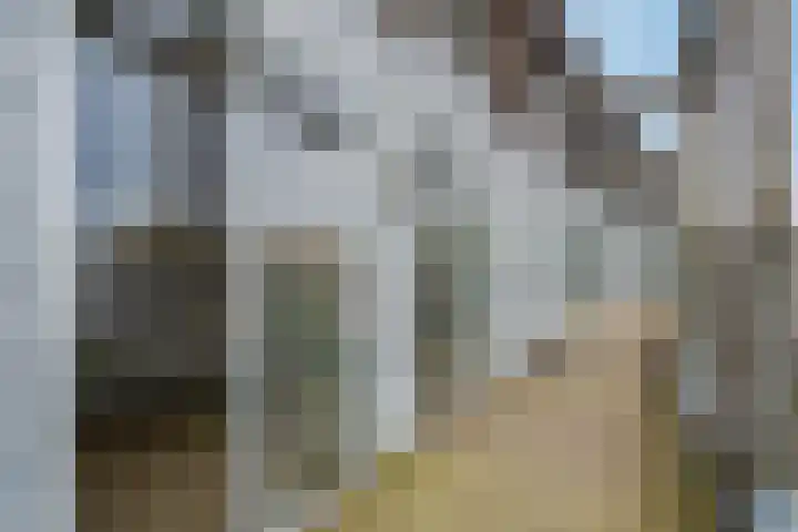 Zomerdijk 8 f Zwartsluis thumbnail 8