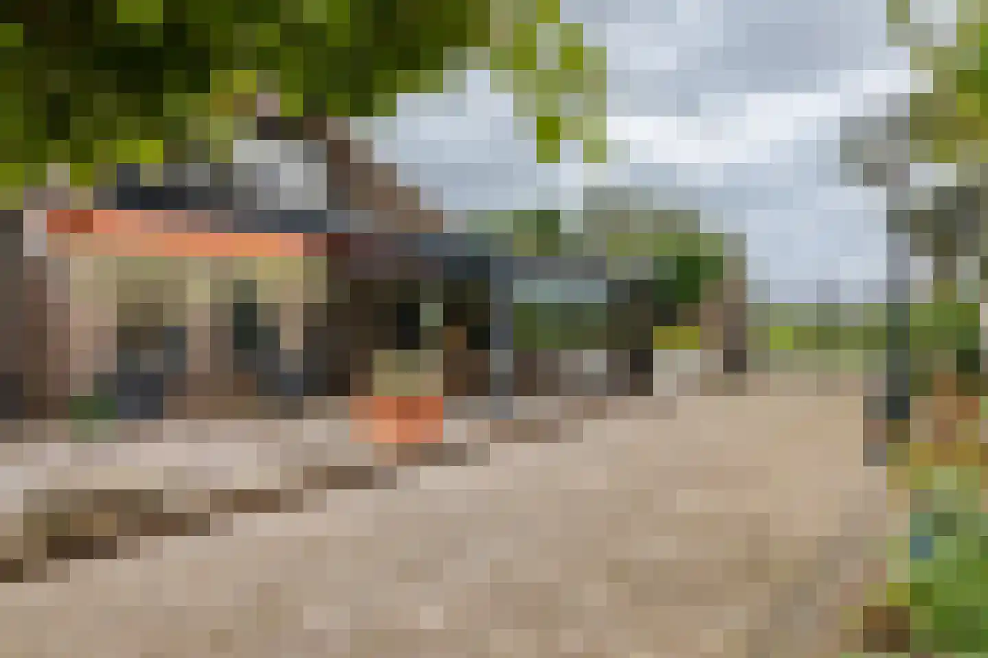 Zomerdijk 9 Oudendijk thumbnail 34