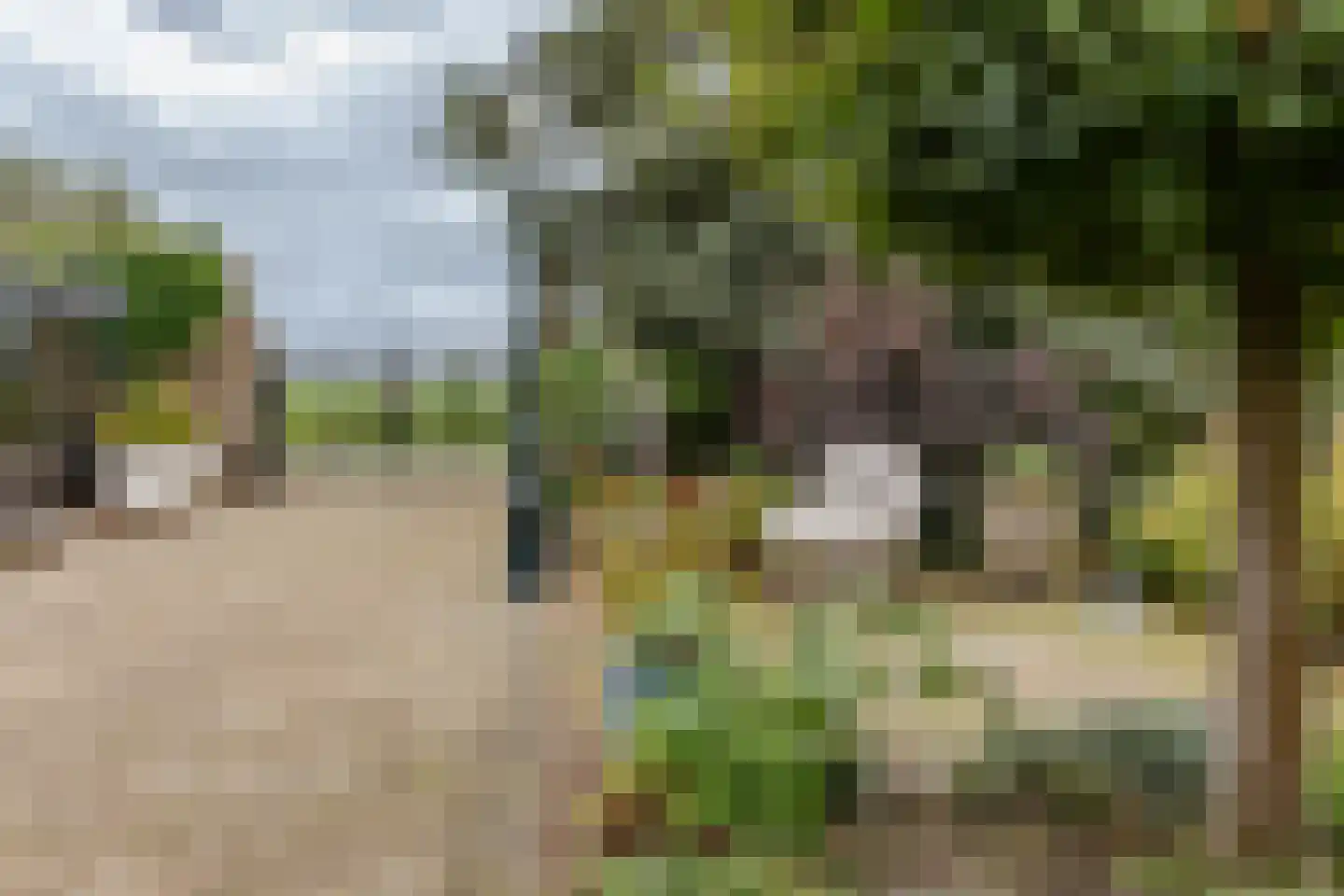 Zomerdijk 9 Oudendijk thumbnail 35