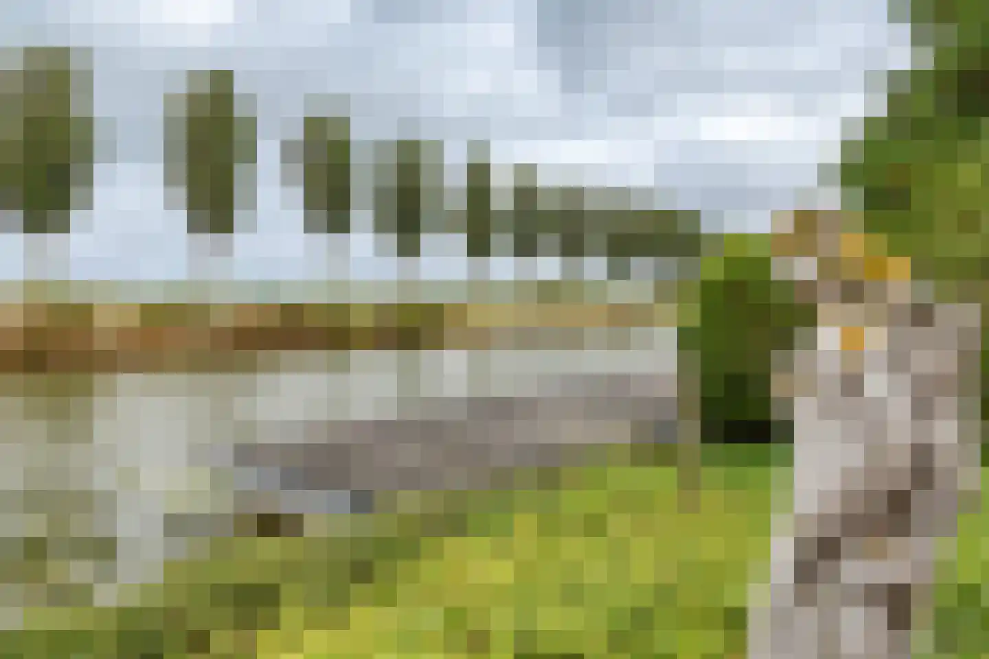 Zomerdijk 9 Oudendijk thumbnail 36
