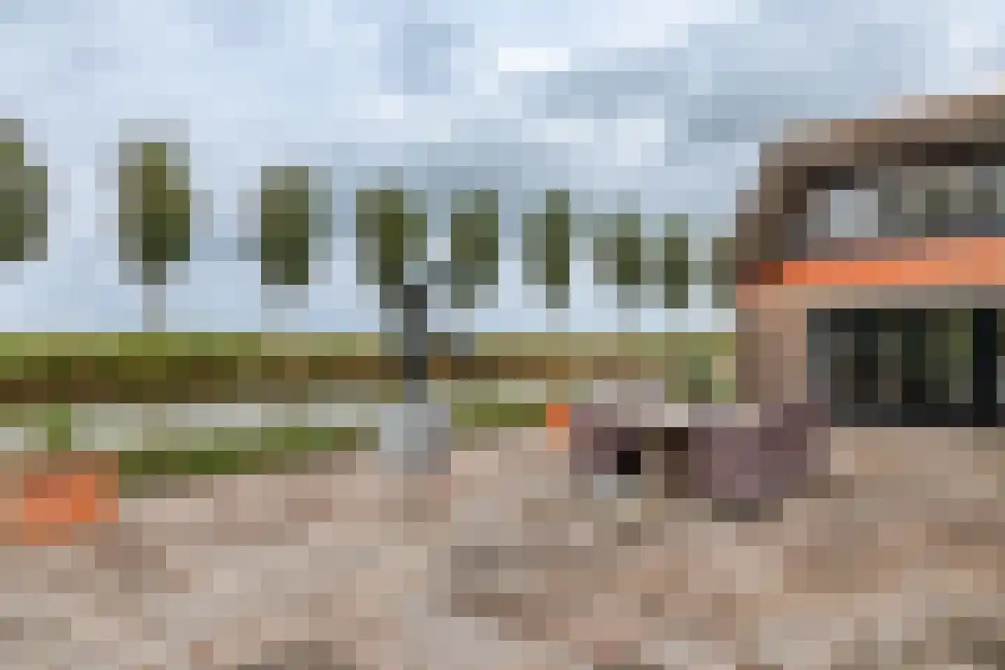 Zomerdijk 9 Oudendijk thumbnail 4