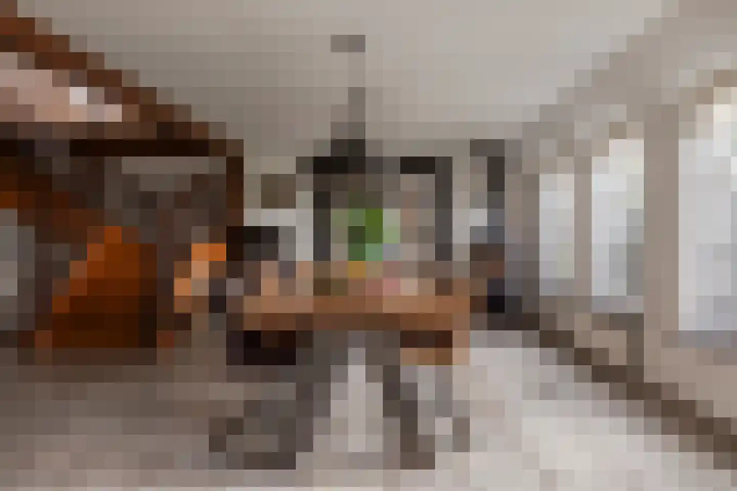 Zomerdijk 9 Oudendijk thumbnail 8