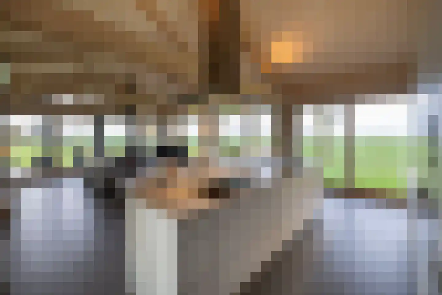 Zomerdijk 90 Noordeinde Gld thumbnail 11