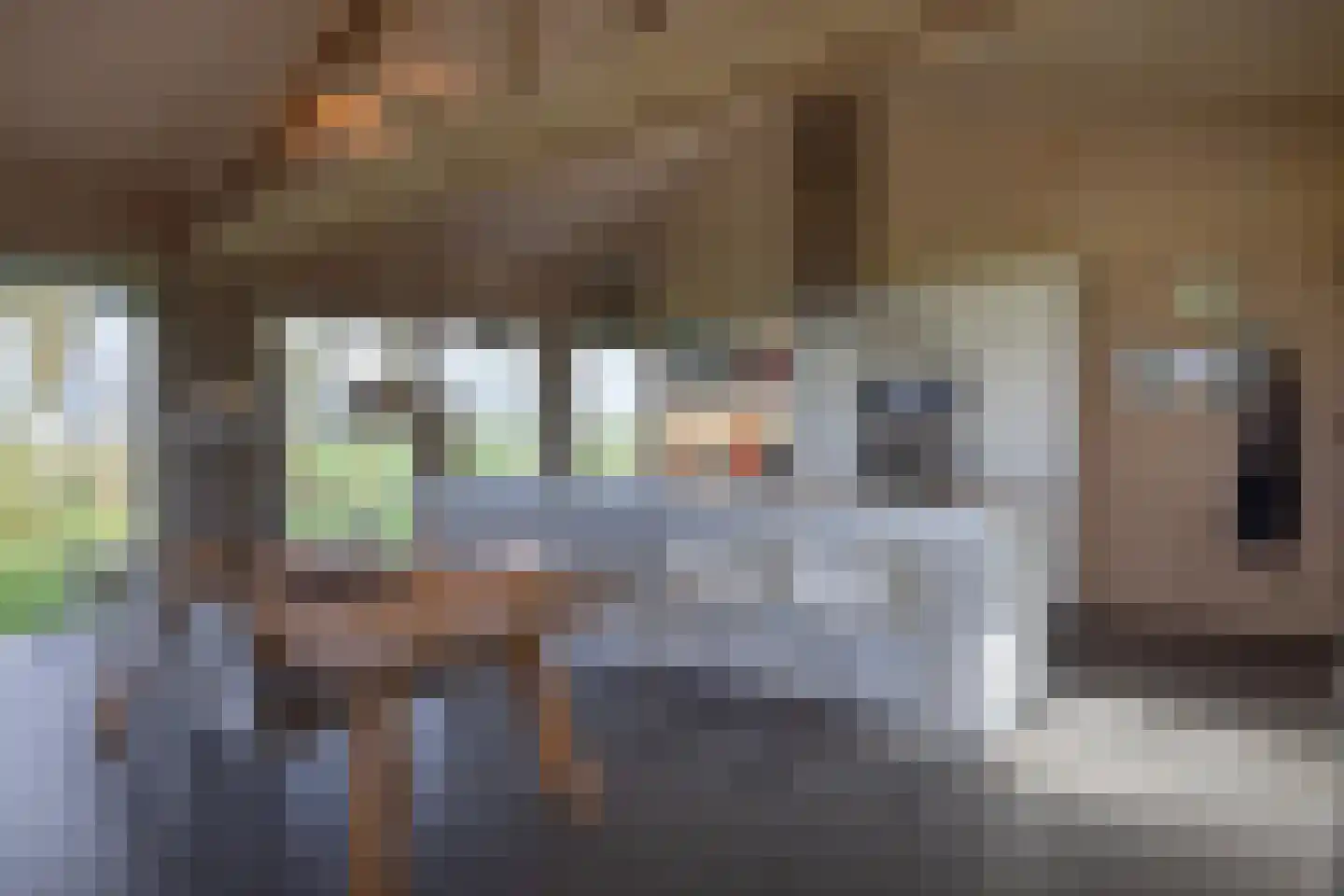 Zomerdijk 90 Noordeinde Gld thumbnail 14