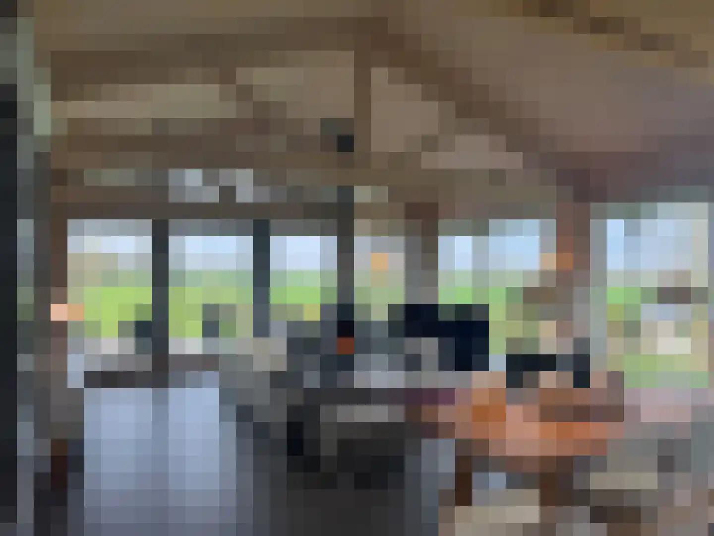 Zomerdijk 90 Noordeinde Gld thumbnail 17
